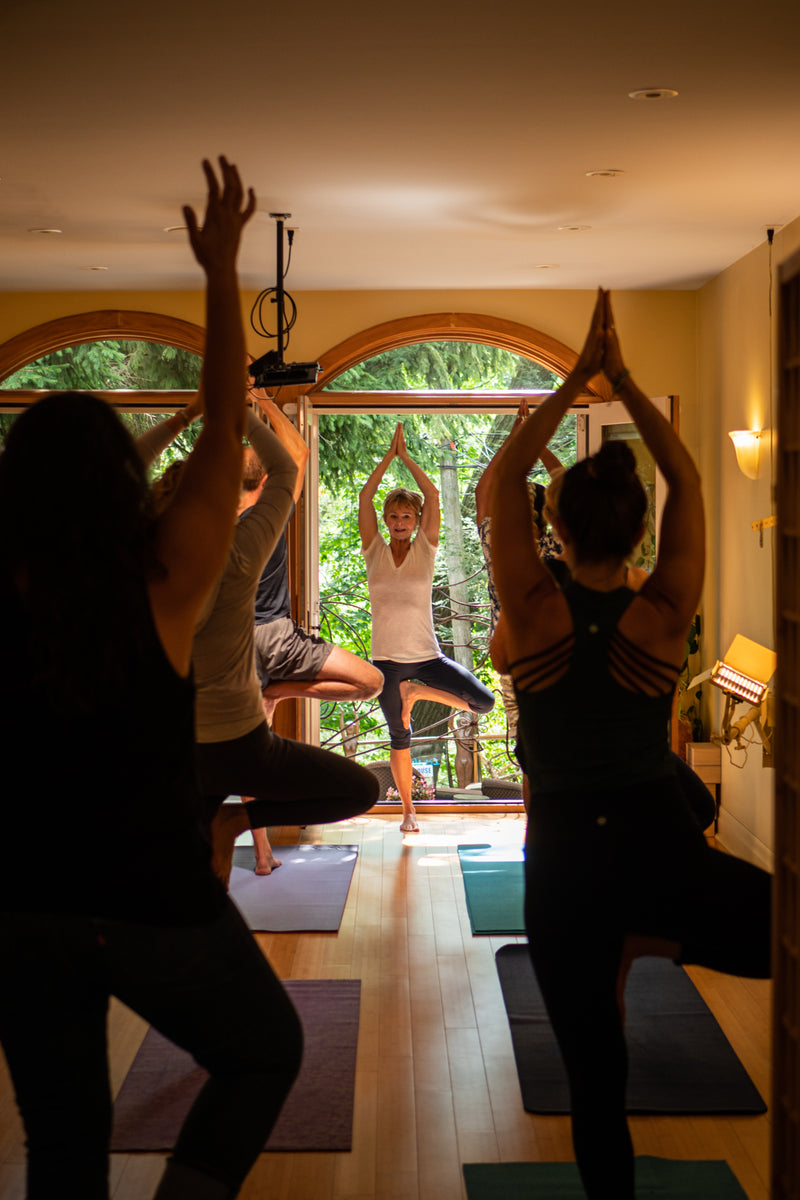 Mindful yoga studio with yoga classes from exceptionally experienced yoga  instructors
